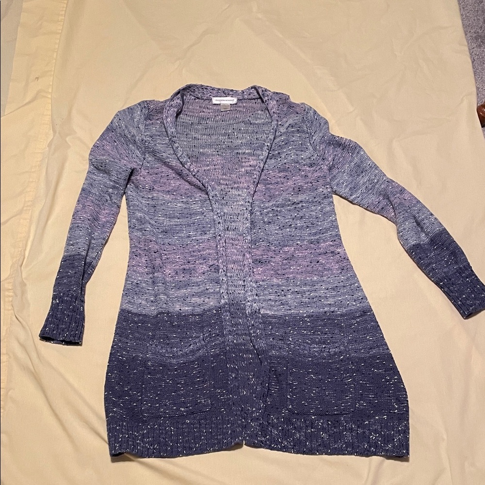 Christopher & Banks Women's Gradient Knit Sweater